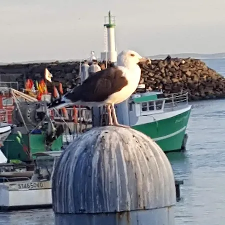 île Oléron La Cotinière 2 étoiles Pour 5 Personnes Saint-Pierre-d'Oleron